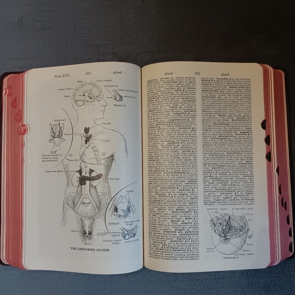 SOLD - Picture 3 of 16